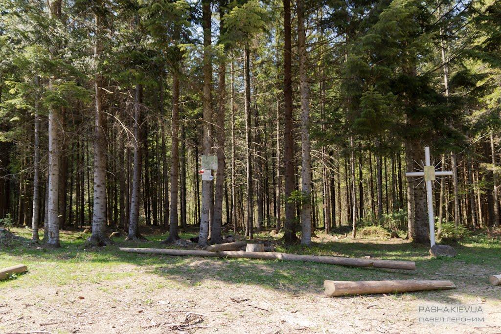 Кричка з panoramio.com - Кричка