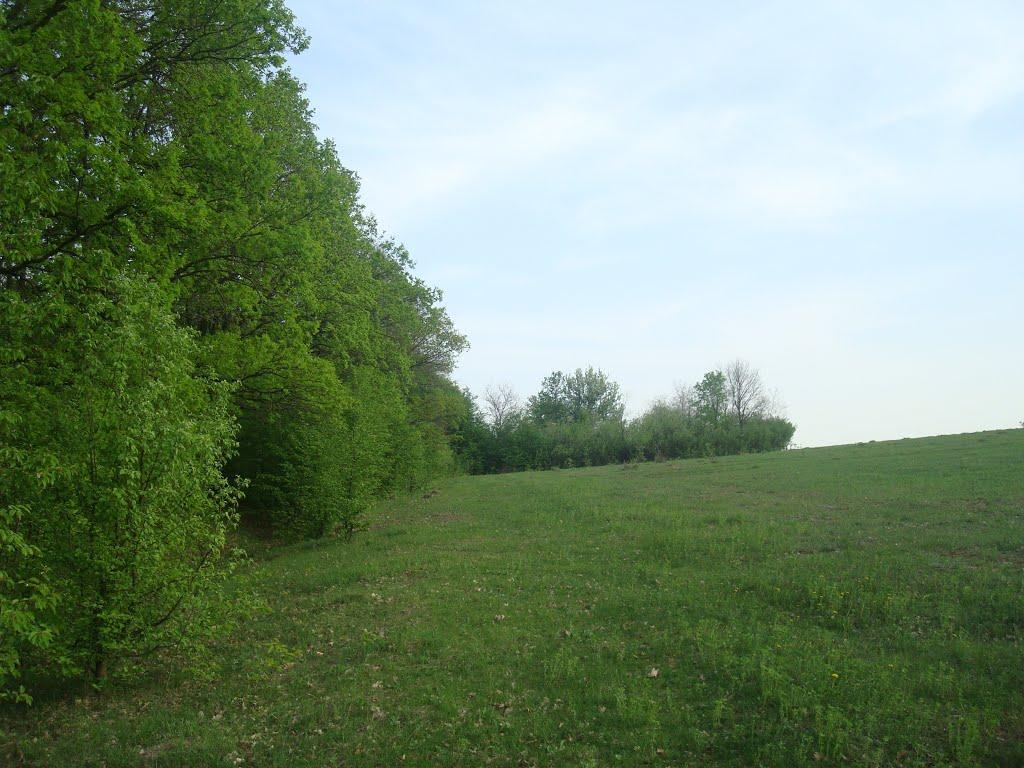 Вільховець з panoramio.com - Вільховець