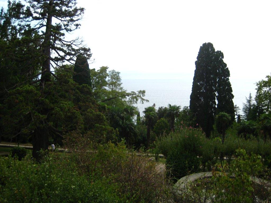 Алупка з panoramio.com (ч.3) - Alupka