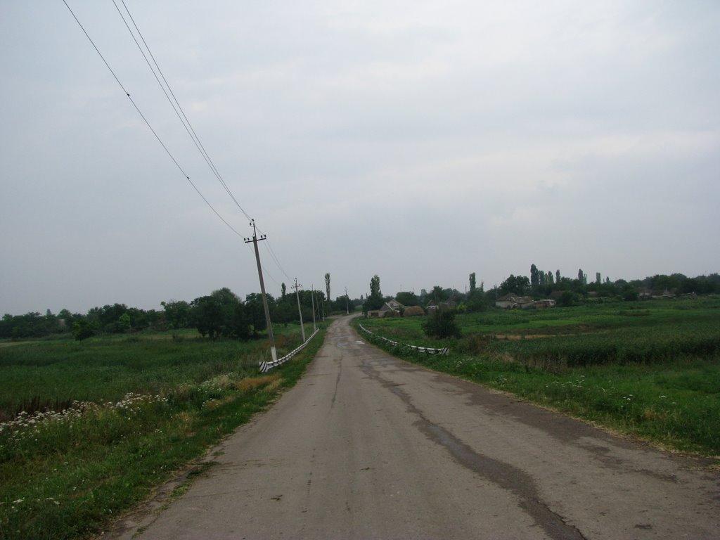 Нова Кам'янка з panoramio.com - Нова Кам'янка