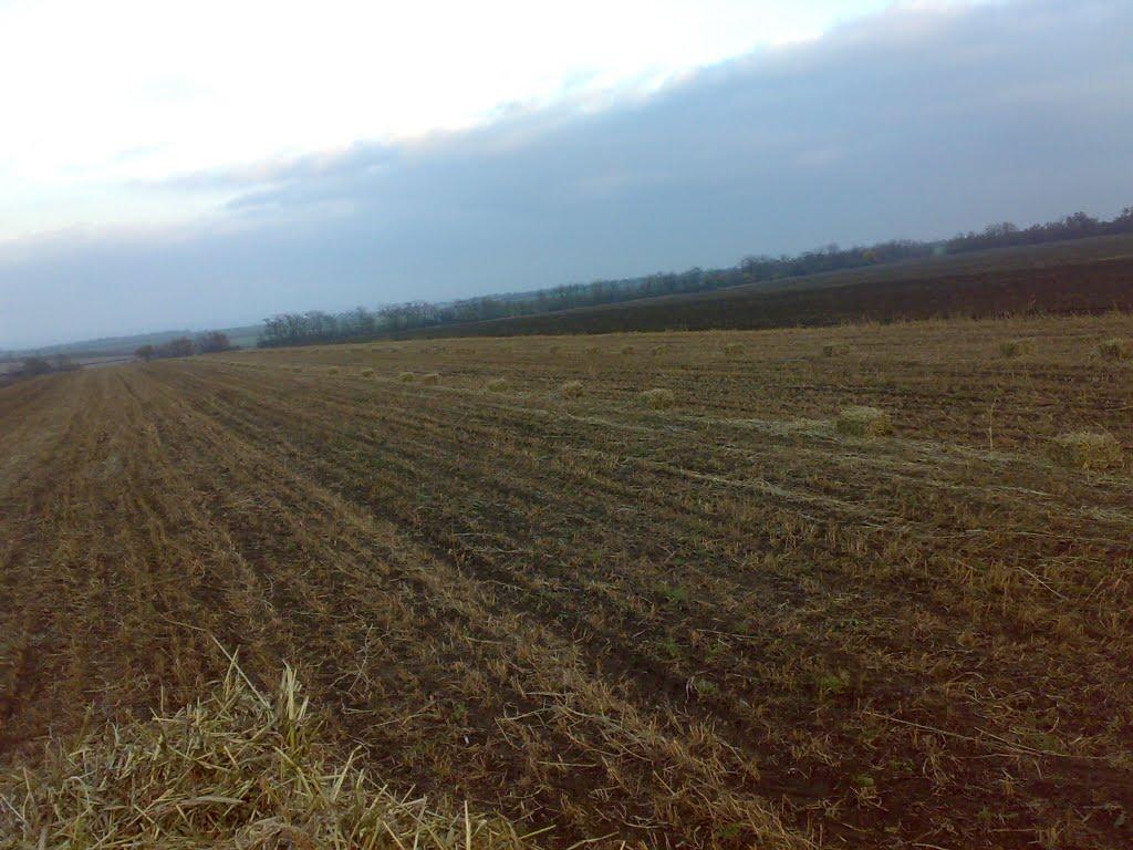 Бурдівка з panoramio.com - Бурдівка