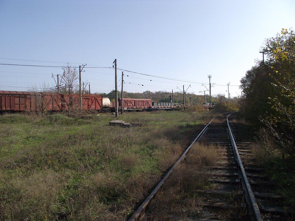 Пантелеймонівка з panoramio.com - Пантелеймонівка