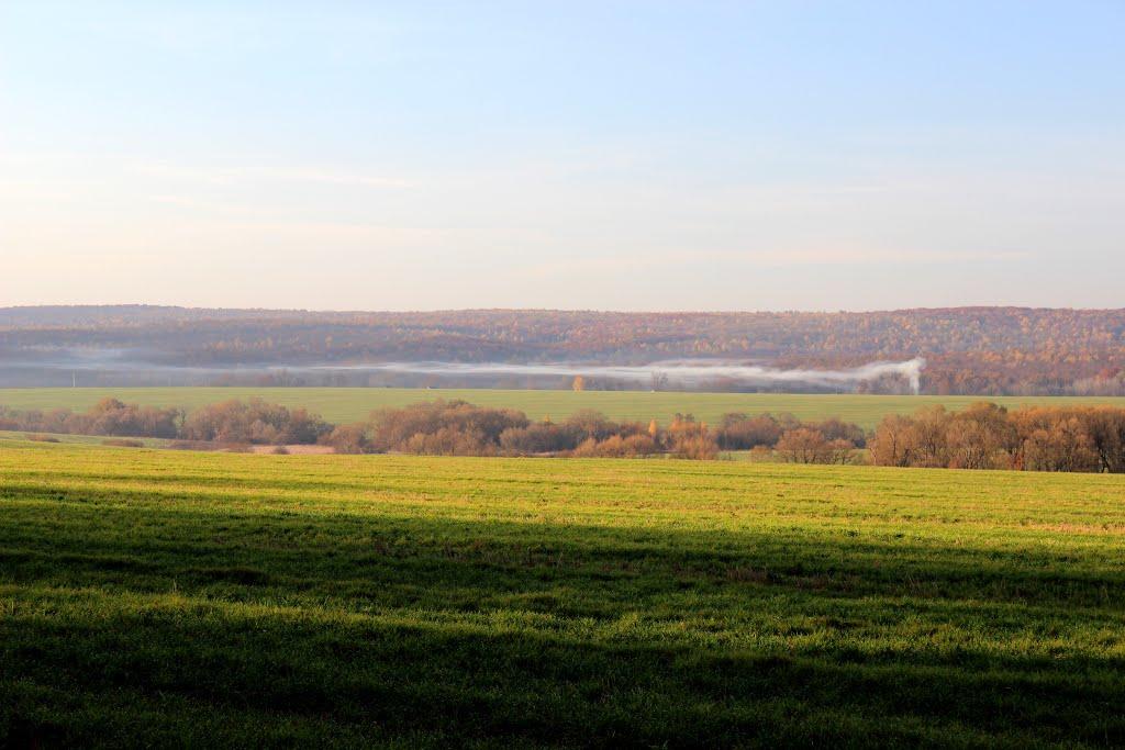 Кошаринці з panoramio.com - Kosharyntsi