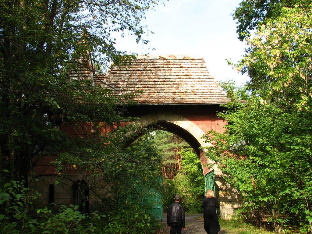 Сорокове з panoramio.com - Сороково