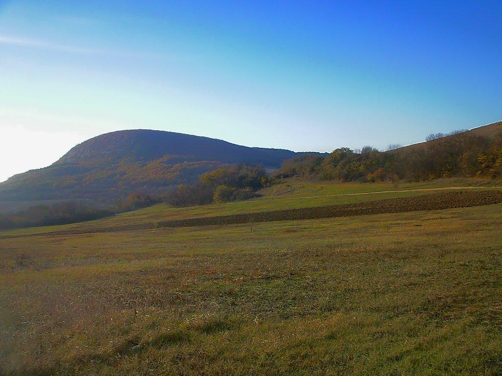 Високе з panoramio.com - Высокое