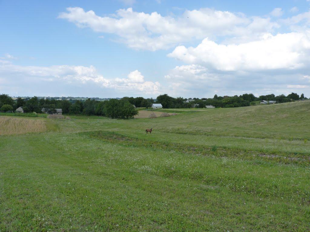 Острів з panoramio.com - Острів