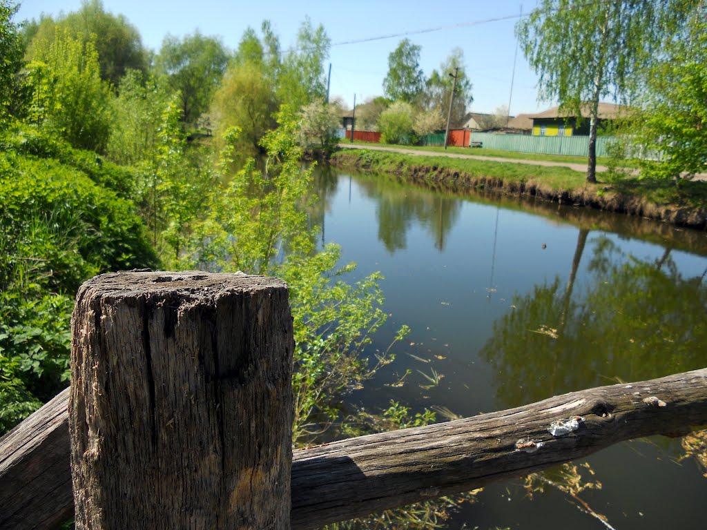 Вільшане з panoramio.com - Вільшане