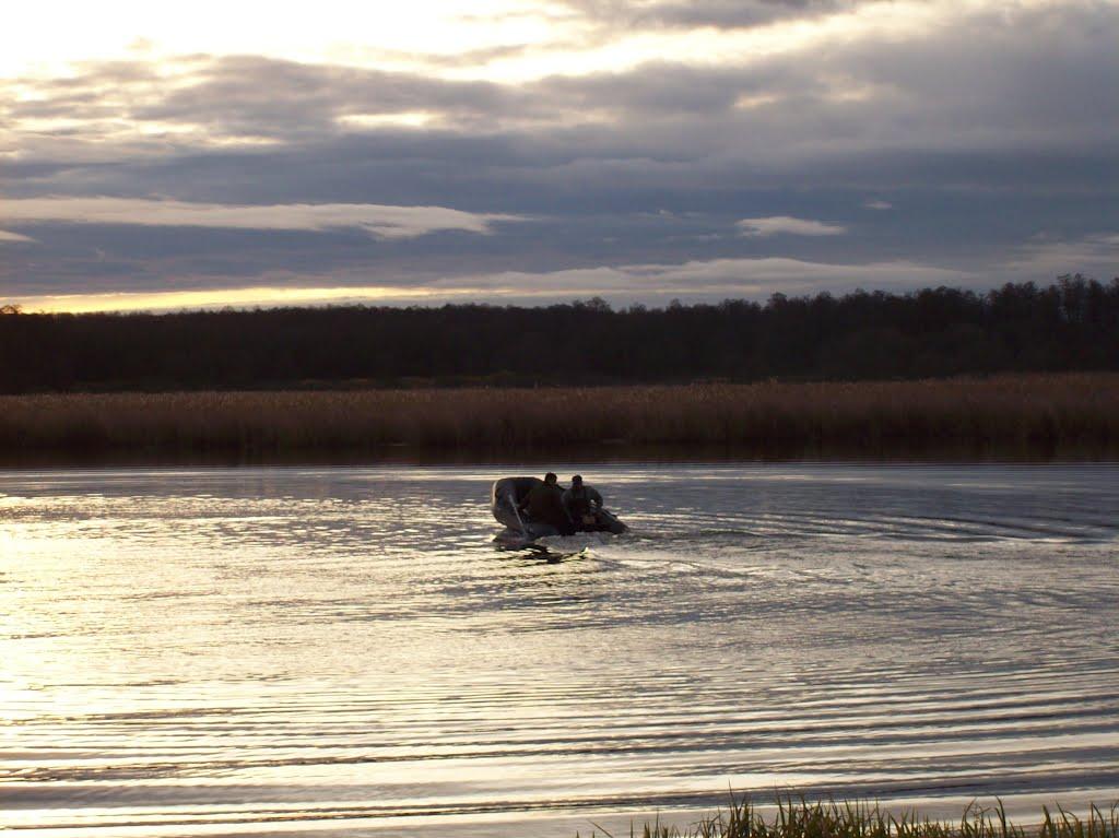Володарка з panoramio.com - Володарка
