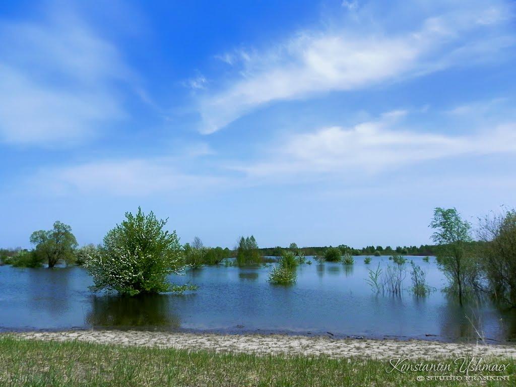 Неданчичі з panoramio.com - Неданчичі