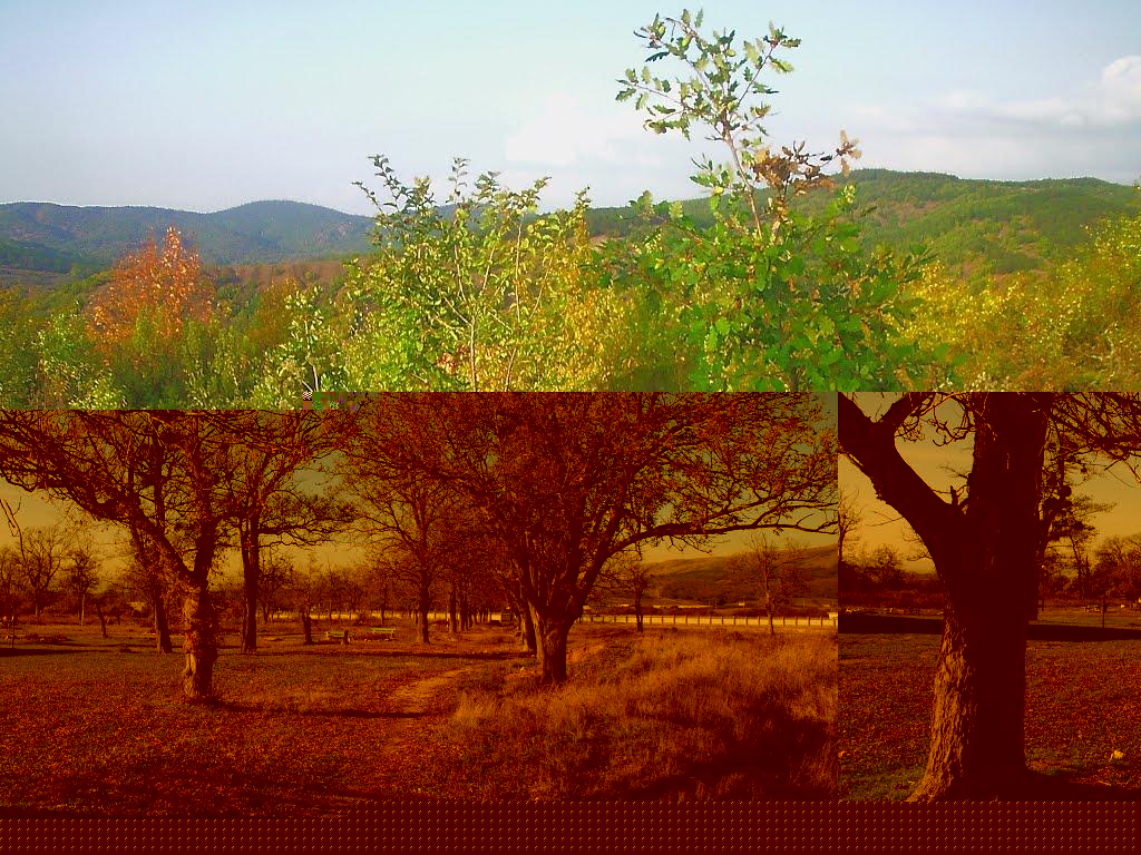 Богатир з panoramio.com - Богатир