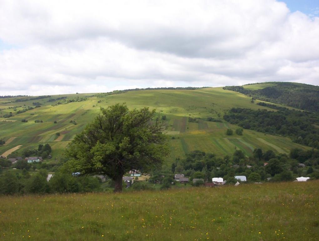 Воля з panoramio.com - Воля