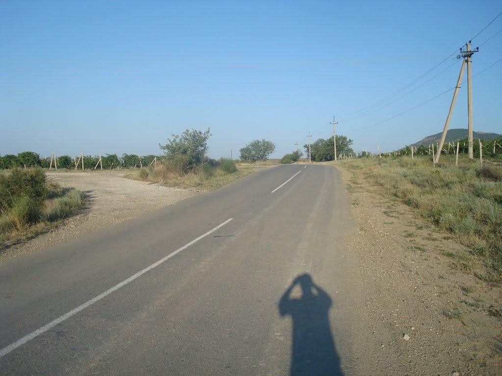 Багатівка з panoramio.com - Багатівка