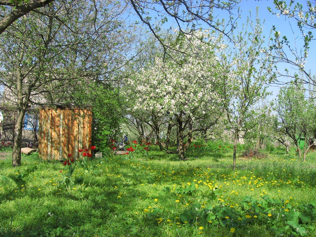 Радсело з panoramio.com - Грабське