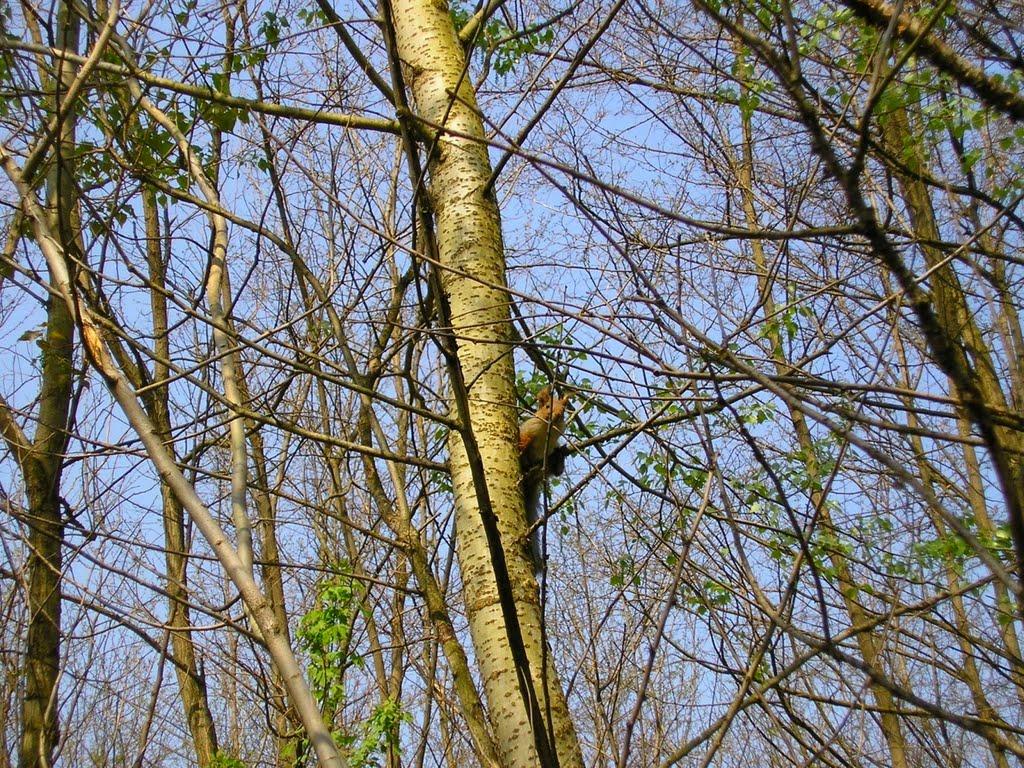 Цюрупинськ з panoramio.com (ч.2) - Цюрупинск