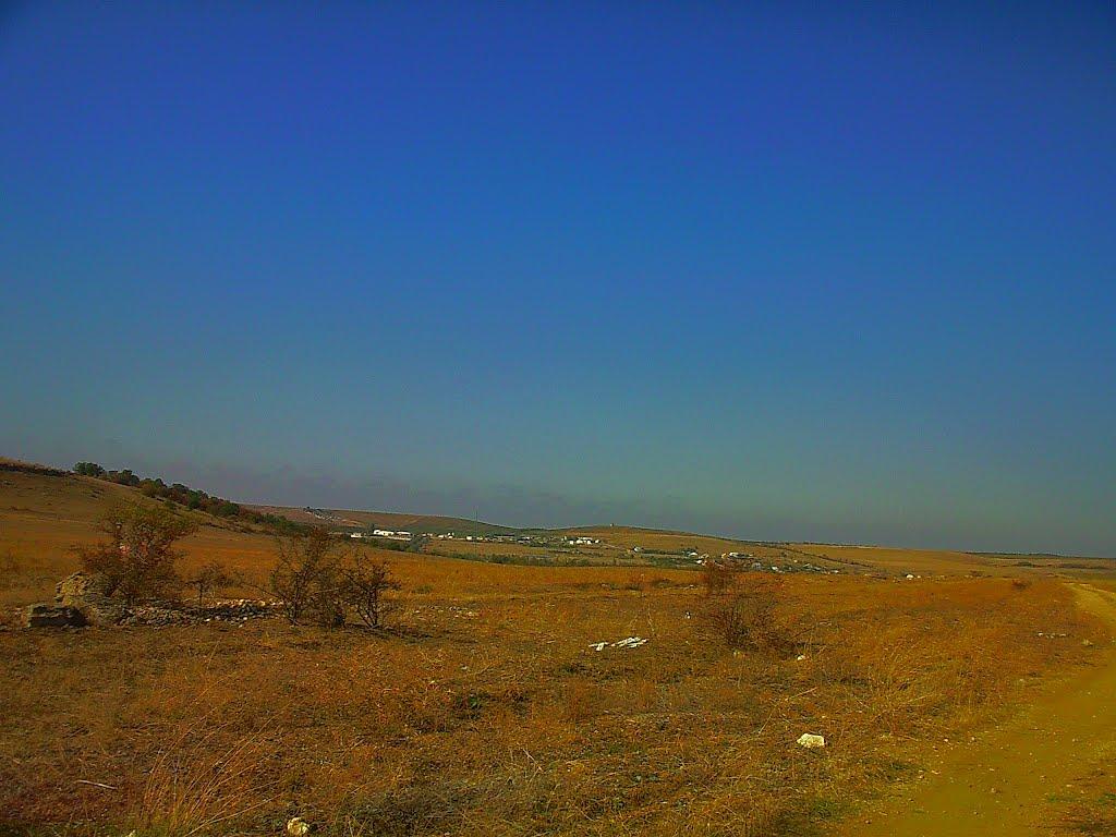 Каштани з panoramio.com - Каштани