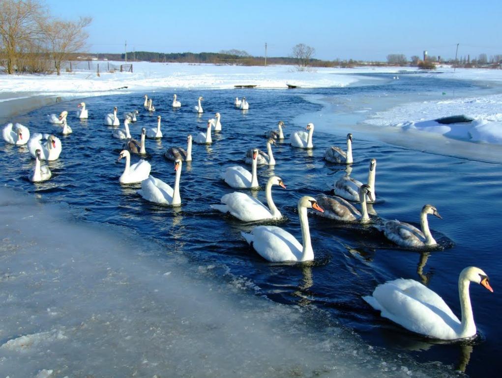 Ковель з panoramio.com (ч.2) - Ковель