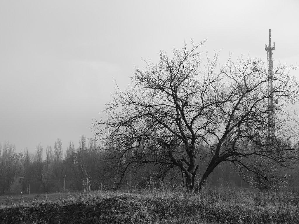 Вільногірськ з panoramio.com - Вільногірськ