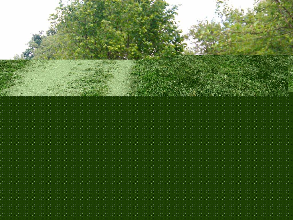 Бориси з panoramio.com - Борисы