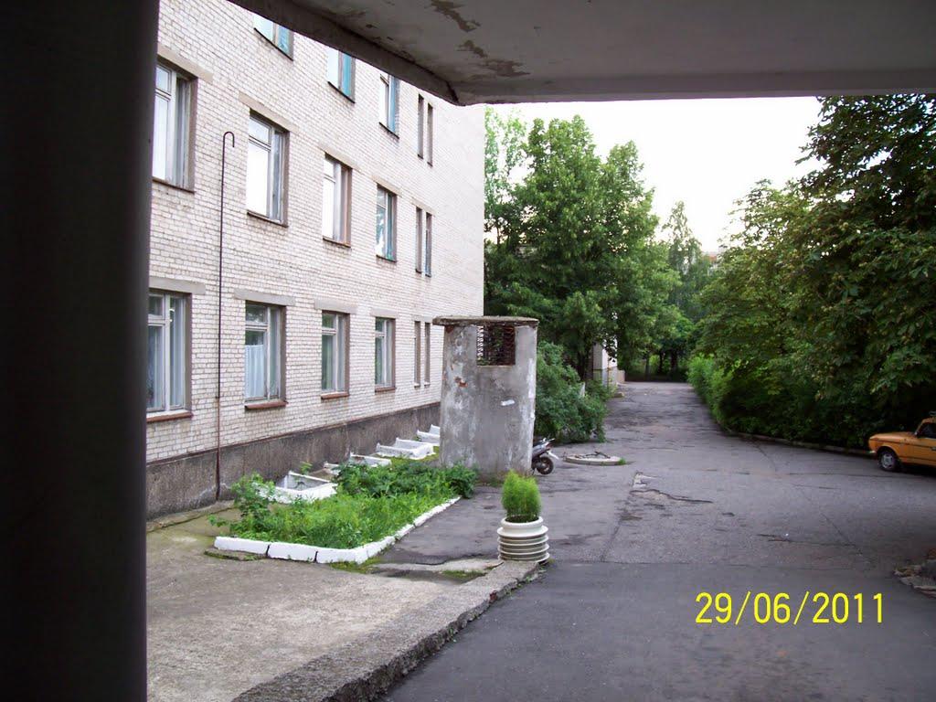 Миколаївка з panoramio.com (ч.2) - Николаевка