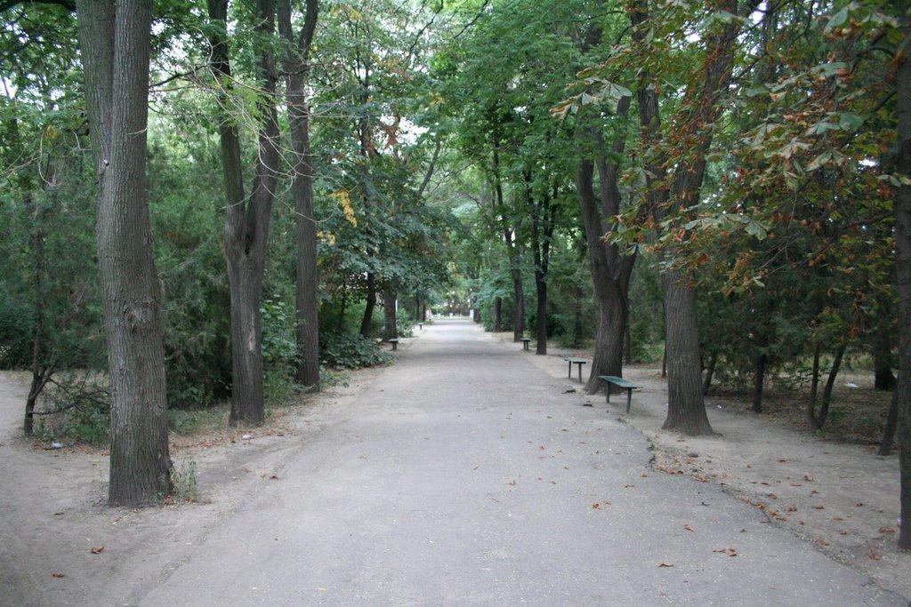 Рені з panoramio.com - Рені