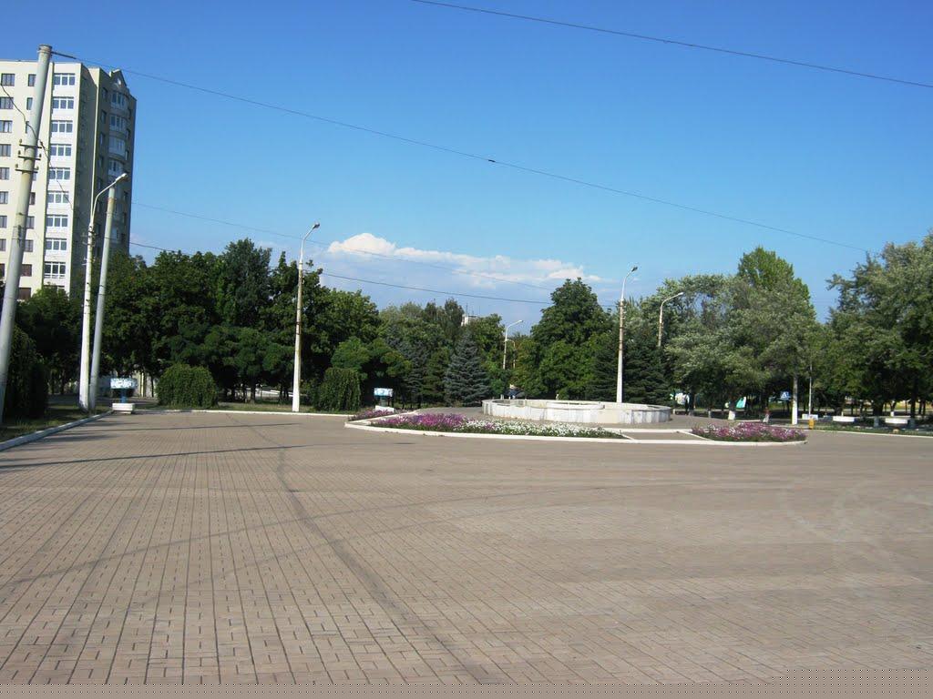 Новогродівка з panoramio.com - Новогродівка