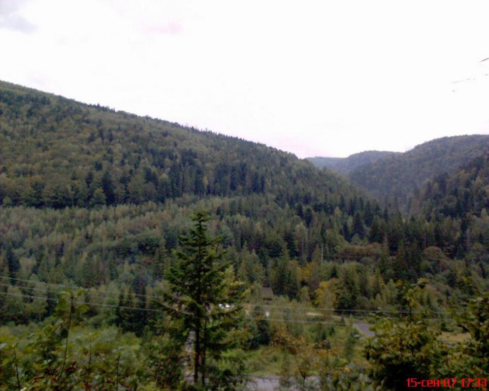 Новий Мізунь з panoramio.com - Новий Мізунь