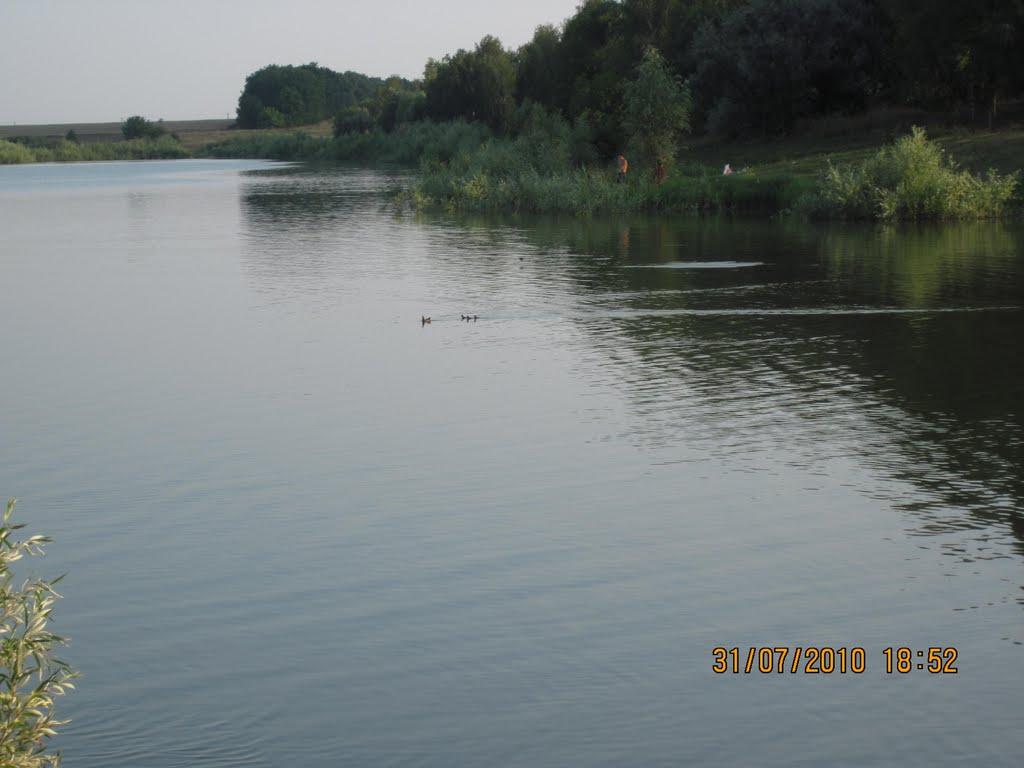 Бондарі з panoramio.com - Бондарі