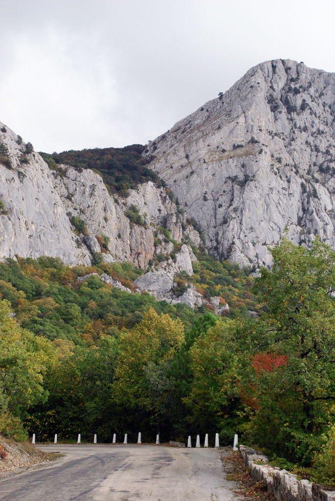 Олива з panoramio.com - Олива