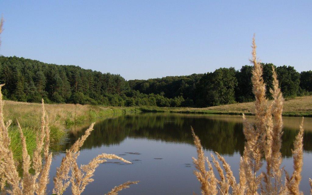 Ракова з panoramio.com - Ракова