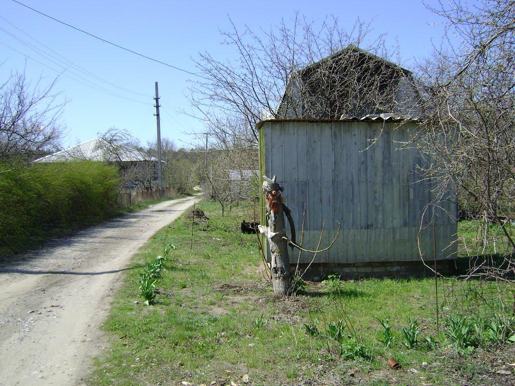 Радсело з panoramio.com - Грабское