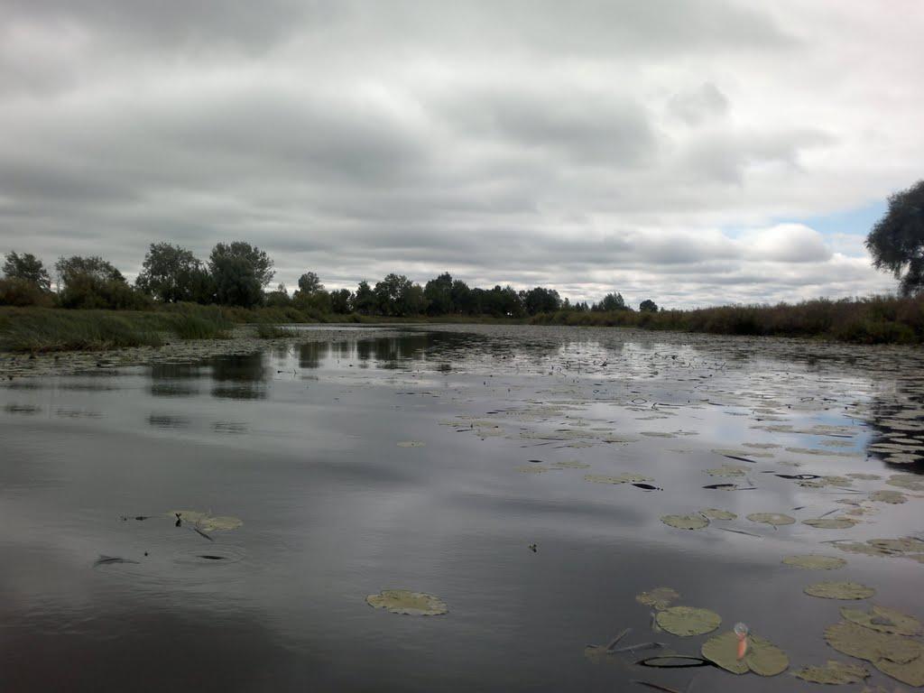 Суслівка з panoramio.com - Суслівка