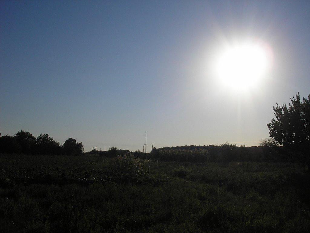 Івашки з panoramio.com - Ивашки