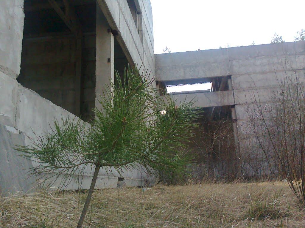 Ірпінь з panoramio.com (ч.2) - Ірпінь