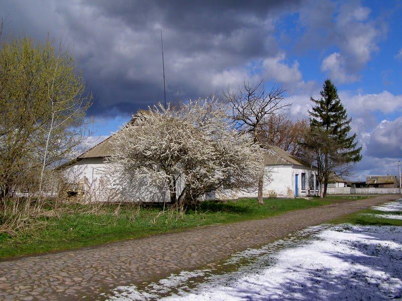 Ходорків з panoramio.com - Ходорків