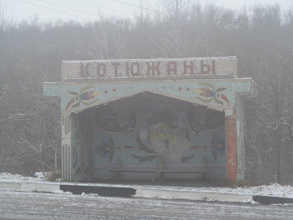 Вищеольчедаїв з panoramio.com - Вищеольчедаїв