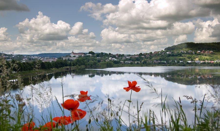 Бережани з panoramio.com - Бережани