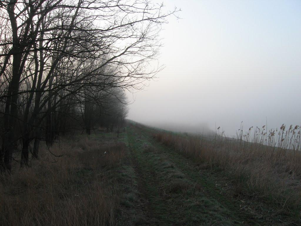 Гранітне з panoramio.com - Гранитное