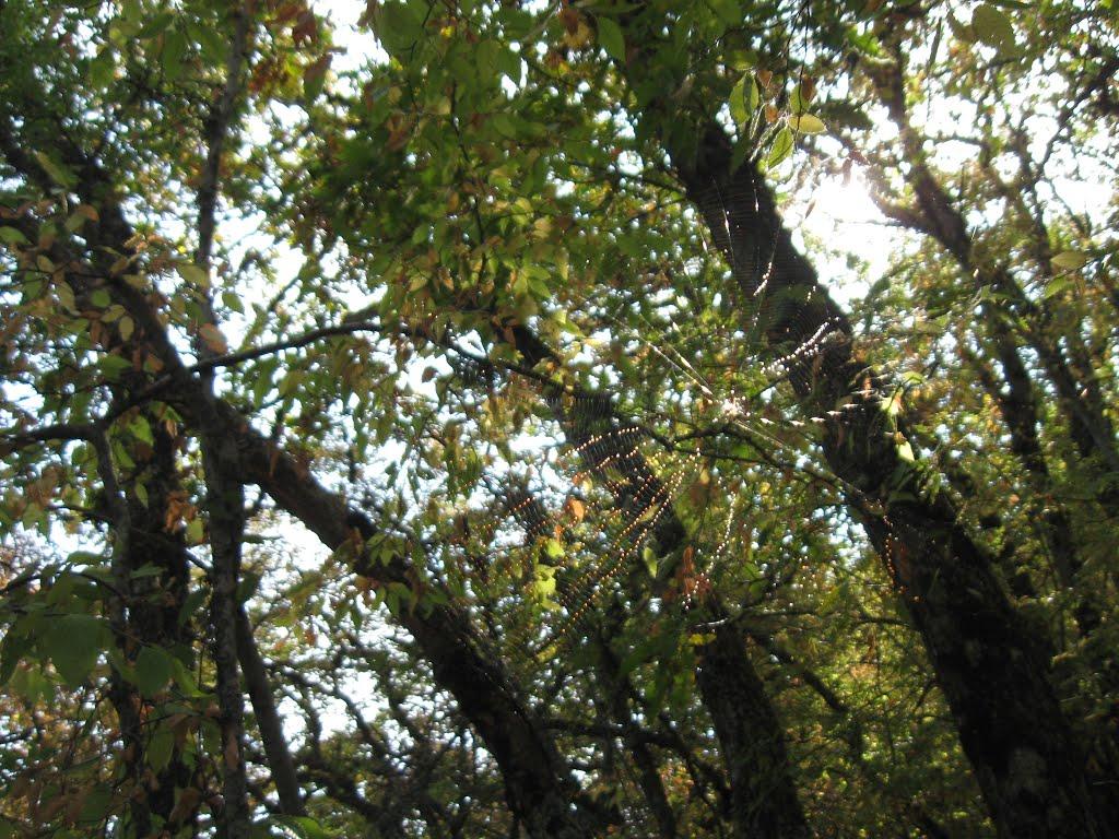 Малий Маяк з panoramio.com - Малий Маяк