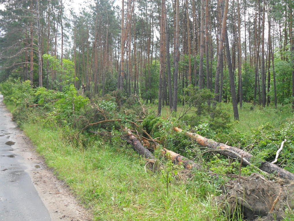 Шостка з panoramio.com - Шостка