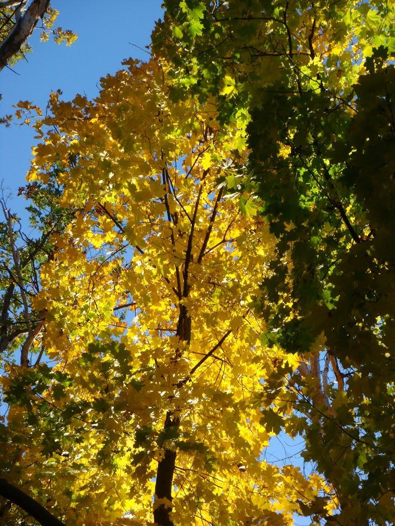 Дублянка з panoramio.com - Дублянка