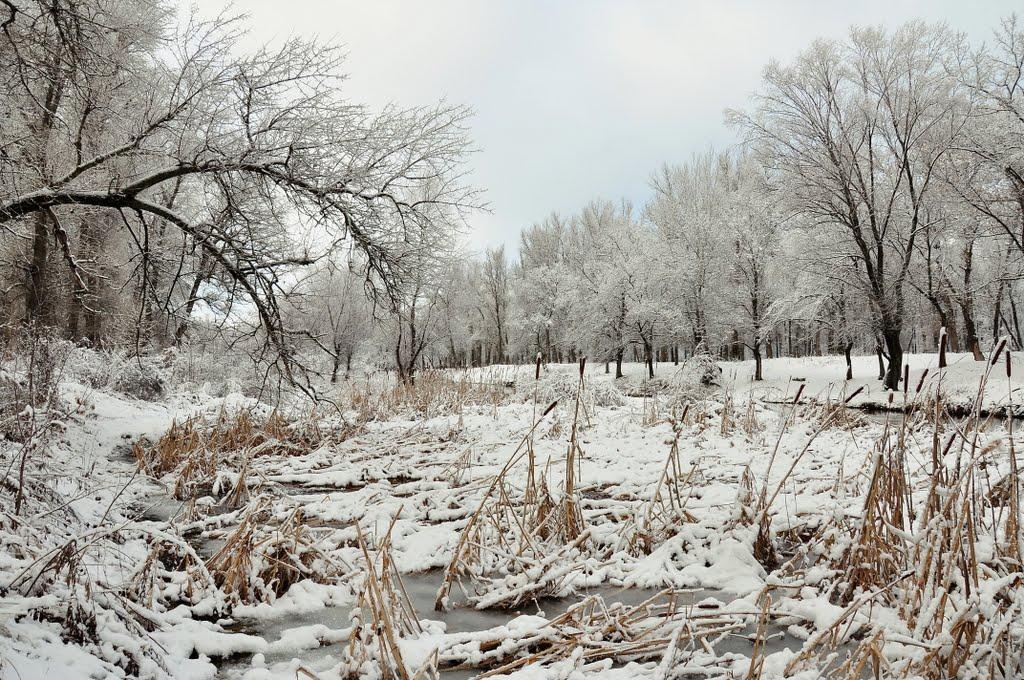 Кремінна з panoramio.com - Кремінна