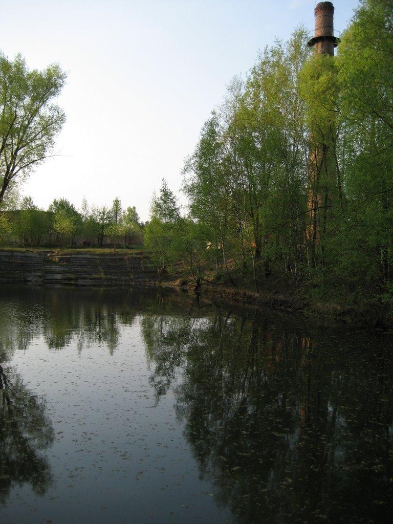 Ріпки з panoramio.com - Ріпки