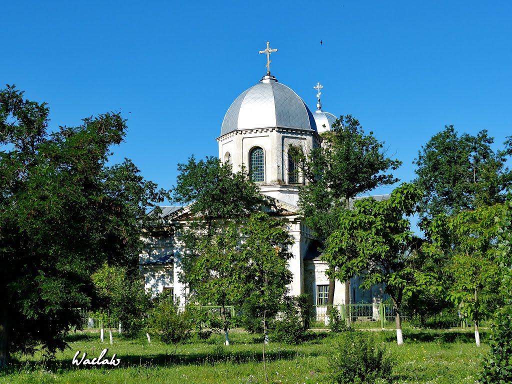Нова Збур'ївка з panoramio.com - Нова Збур'ївка