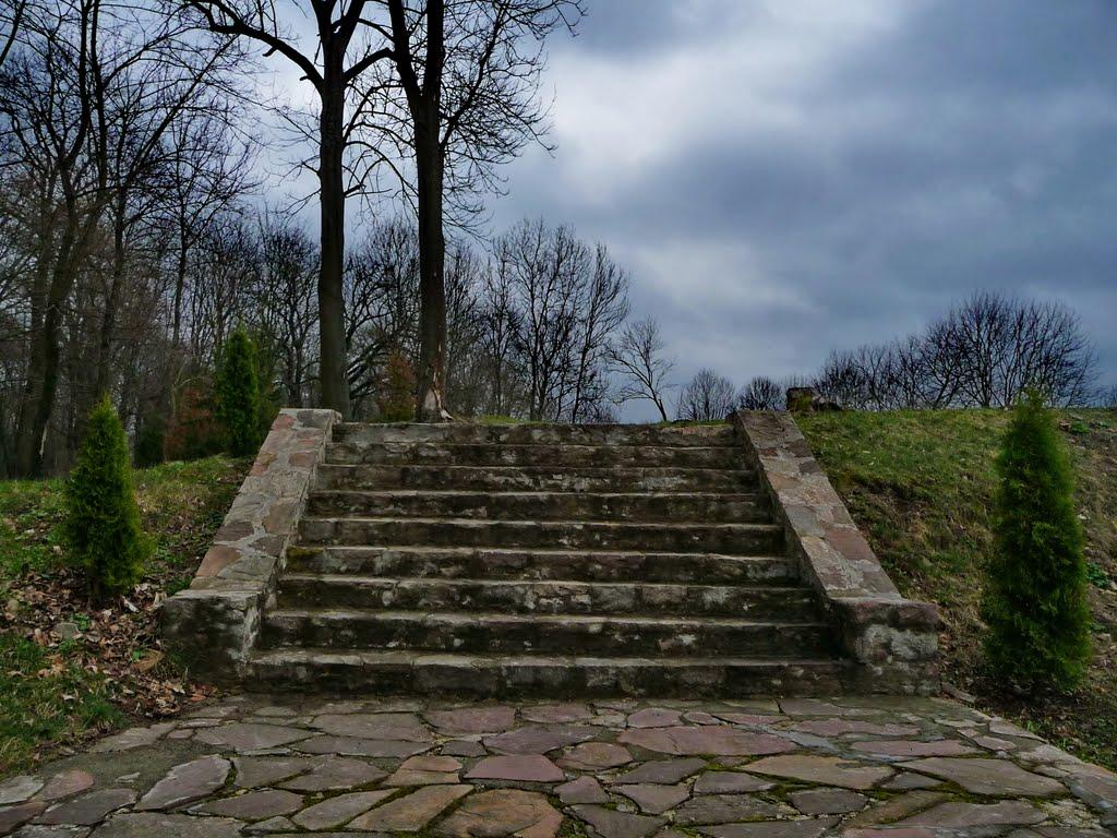 Язловець з panoramio.com - Язловец