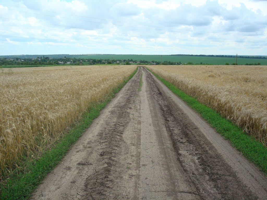 Побузьке з panoramio.com - Побузьке