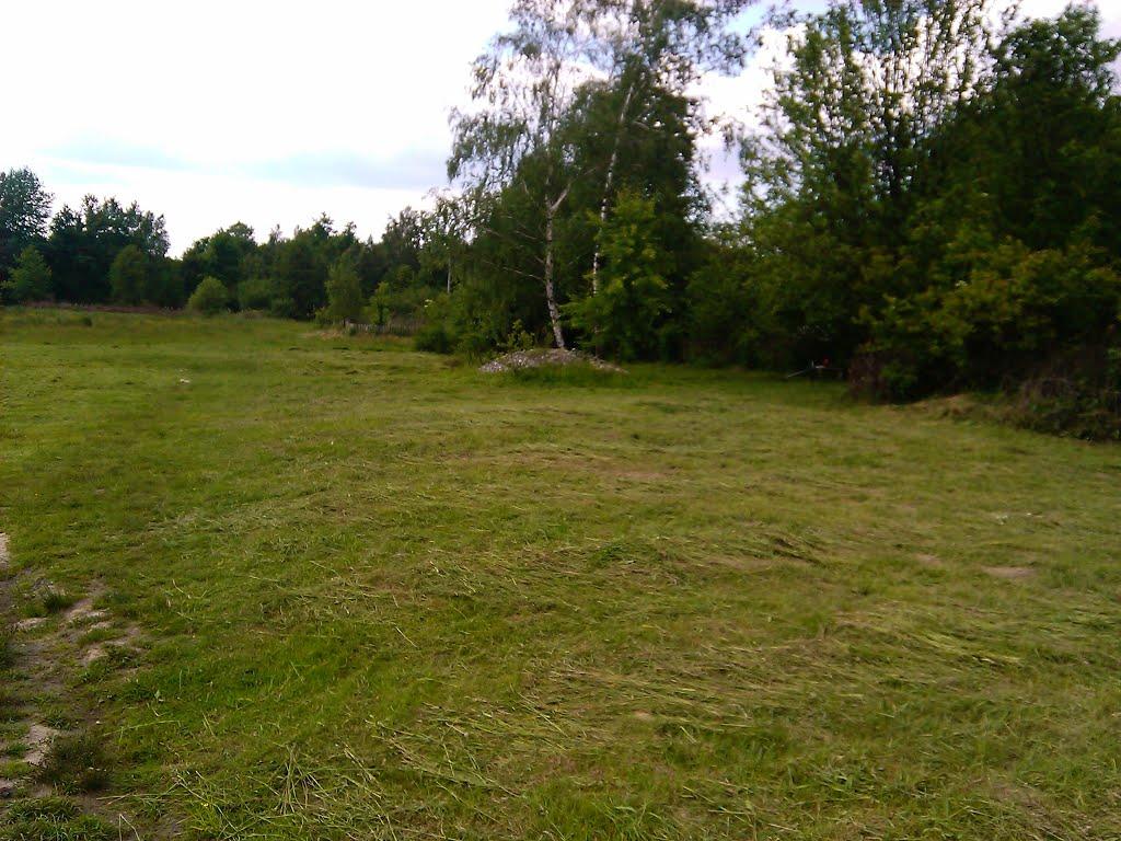 Бориси з panoramio.com - Борисы