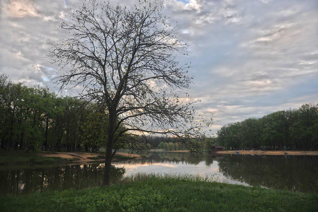 Комсомольський з panoramio.com - Графське