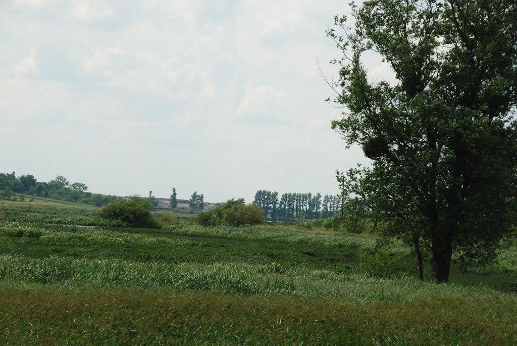 Пониква з panoramio.com - Пониква