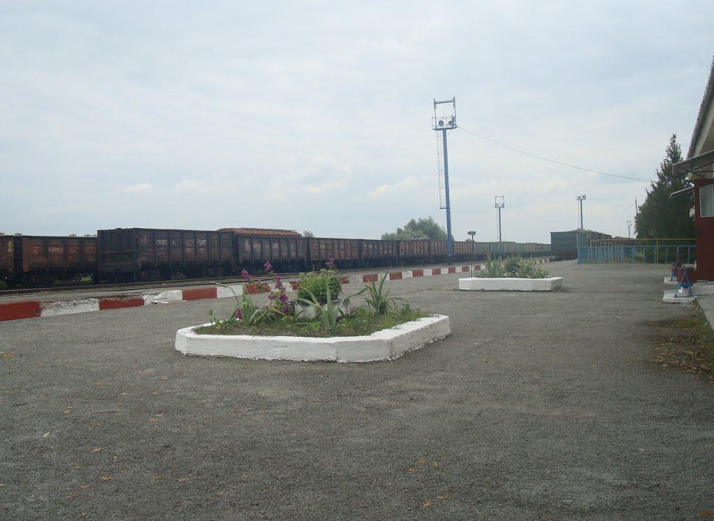 Гуменці з panoramio.com - Гуменці