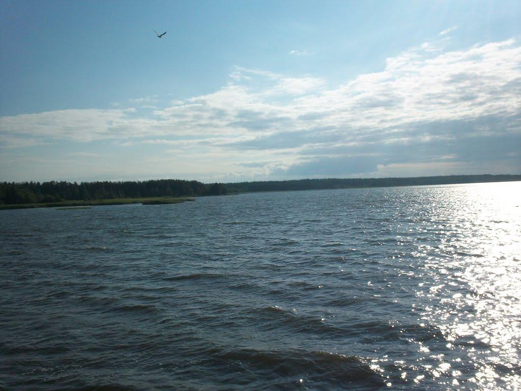 Малин з panoramio.com - Малин